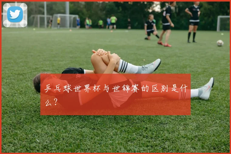 乒乓球世界杯与世锦赛的区别是什么？