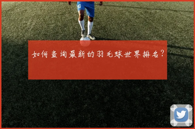 如何查询最新的羽毛球世界排名?