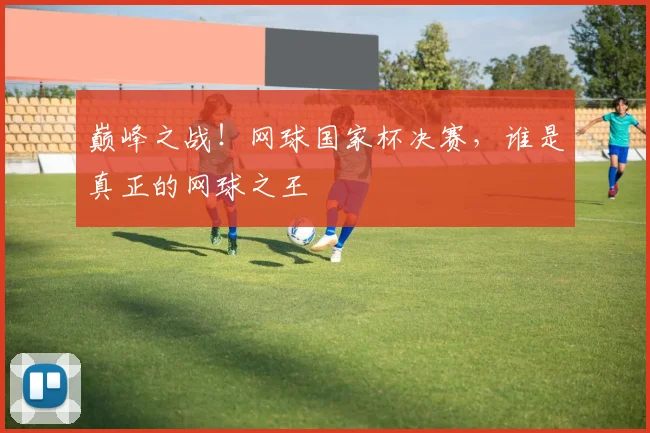 巅峰之战！网球国家杯决赛，谁是真正的网球之王